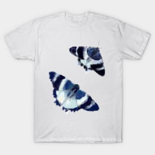 Tropical blue night moth T-Shirt